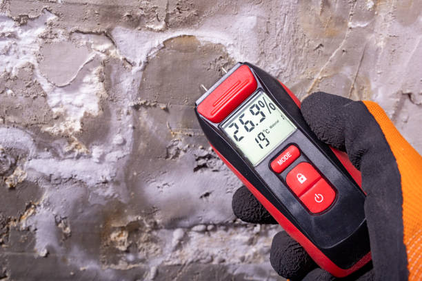 Best Mold Cleaning Services  in Clay City, IN
